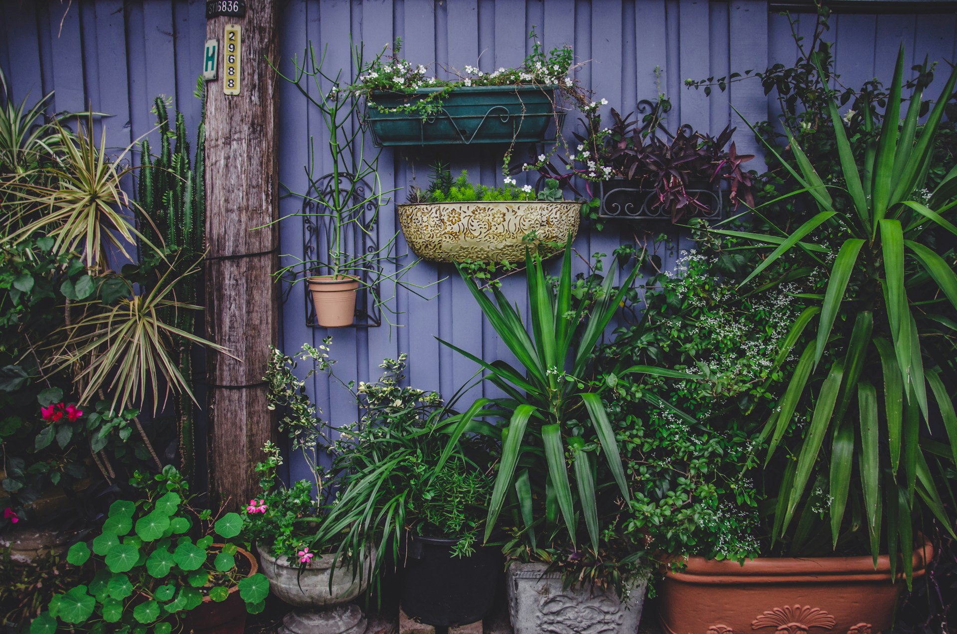 How to Choose Garden Colour Schemes