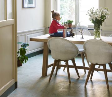 Joe Dining Chair