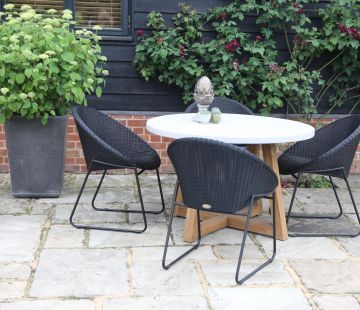 Bellina Dining Armchair