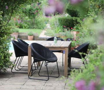Bellina Dining Armchair