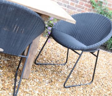 Bellina Dining Armchair