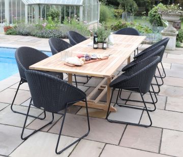 Bellina Dining Armchair