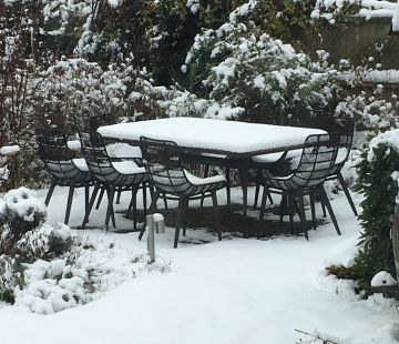 Chiswick Chair