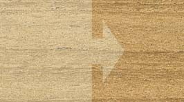 Golden care teak protector